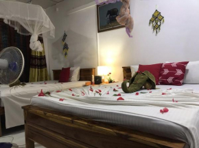 Another Night Hostel